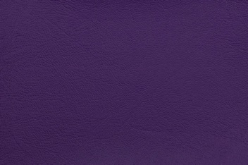 Nauto Purple
